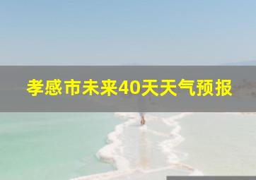 孝感市未来40天天气预报