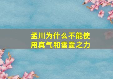 孟川为什么不能使用真气和雷霆之力