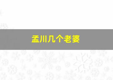 孟川几个老婆