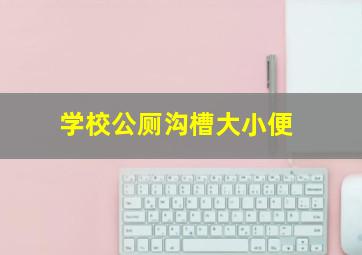 学校公厕沟槽大小便