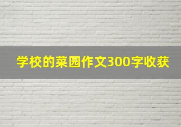 学校的菜园作文300字收获