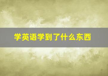 学英语学到了什么东西