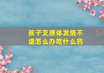 孩子支原体发烧不退怎么办吃什么药