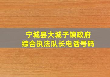 宁城县大城子镇政府综合执法队长电话号码