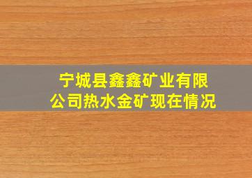 宁城县鑫鑫矿业有限公司热水金矿现在情况