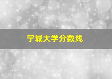 宁城大学分数线