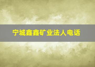 宁城鑫鑫矿业法人电话