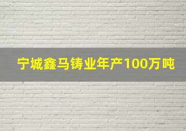 宁城鑫马铸业年产100万吨