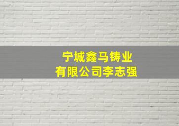 宁城鑫马铸业有限公司李志强