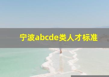 宁波abcde类人才标准