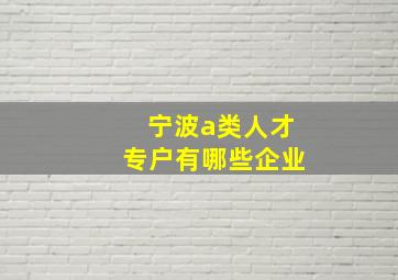 宁波a类人才专户有哪些企业