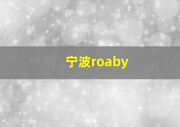 宁波roaby