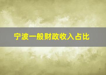 宁波一般财政收入占比