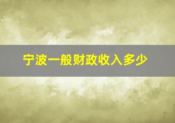 宁波一般财政收入多少