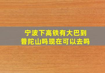 宁波下高铁有大巴到普陀山吗现在可以去吗