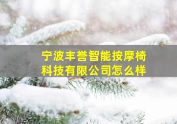 宁波丰誉智能按摩椅科技有限公司怎么样