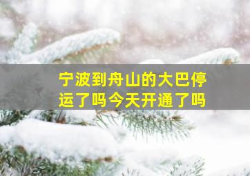 宁波到舟山的大巴停运了吗今天开通了吗