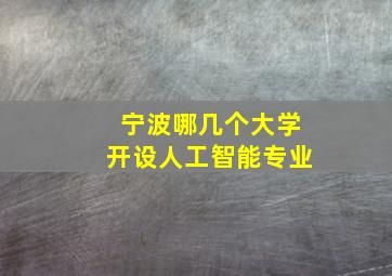 宁波哪几个大学开设人工智能专业