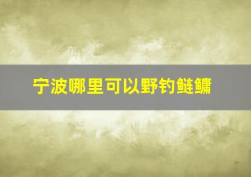 宁波哪里可以野钓鲢鳙