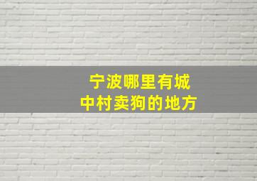 宁波哪里有城中村卖狗的地方