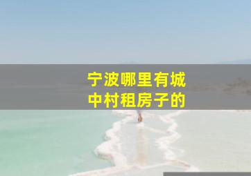 宁波哪里有城中村租房子的