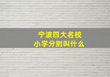 宁波四大名校小学分别叫什么