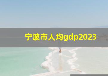 宁波市人均gdp2023