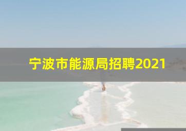 宁波市能源局招聘2021