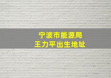 宁波市能源局王力平出生地址