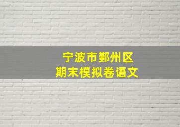 宁波市鄞州区期末模拟卷语文