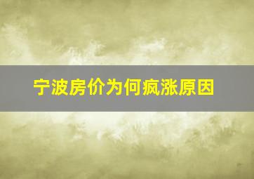 宁波房价为何疯涨原因