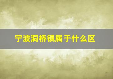 宁波洞桥镇属于什么区