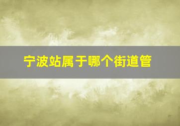 宁波站属于哪个街道管