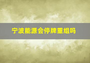 宁波能源会停牌重组吗