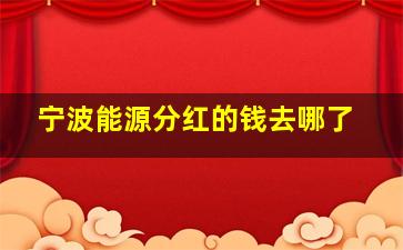 宁波能源分红的钱去哪了