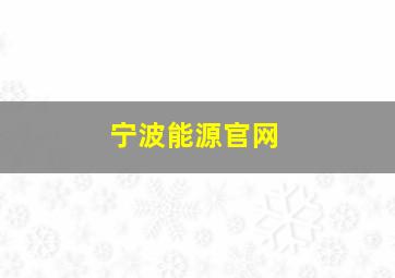 宁波能源官网