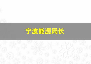 宁波能源局长