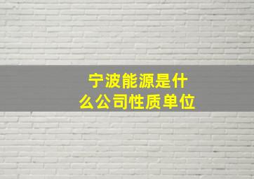 宁波能源是什么公司性质单位