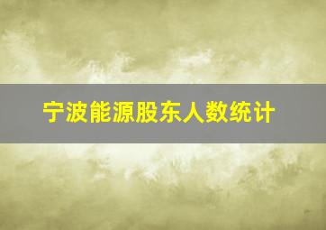 宁波能源股东人数统计