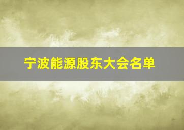 宁波能源股东大会名单