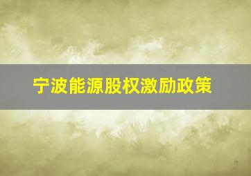 宁波能源股权激励政策