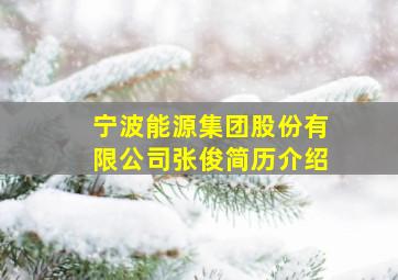 宁波能源集团股份有限公司张俊简历介绍