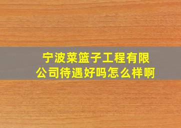 宁波菜篮子工程有限公司待遇好吗怎么样啊