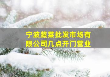 宁波蔬菜批发市场有限公司几点开门营业