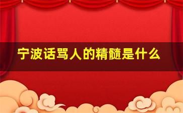 宁波话骂人的精髓是什么