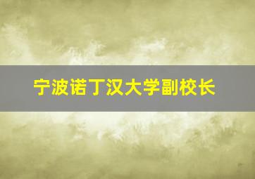 宁波诺丁汉大学副校长