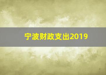 宁波财政支出2019