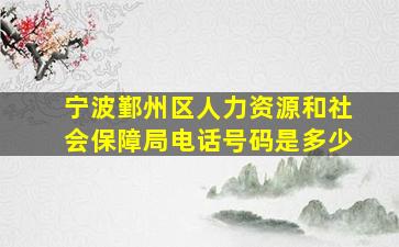 宁波鄞州区人力资源和社会保障局电话号码是多少