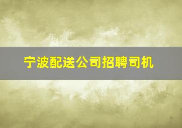 宁波配送公司招聘司机