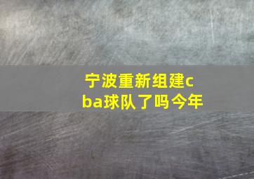 宁波重新组建cba球队了吗今年